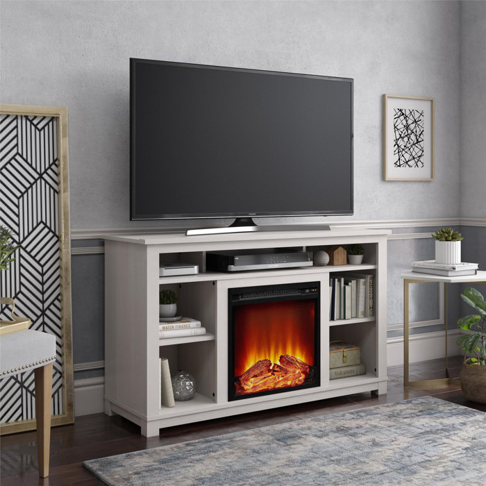 Wrought Studio Burleigh TV Stand for TVs up to 55" with Electric